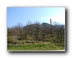 [Click to enlarge]