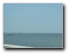 [Click to enlarge]