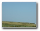 [Click to enlarge]
